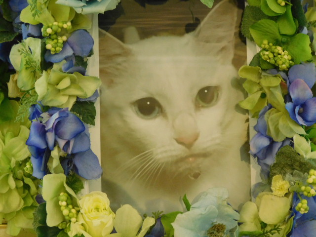 DSCN0977.JPG