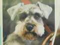 水戸市愛犬ココちゃん