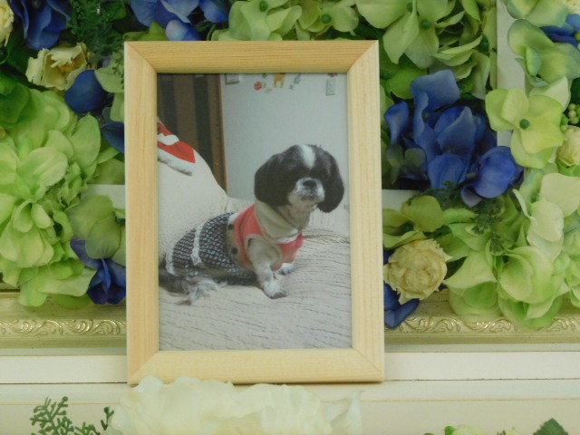 DSCN1053.JPG