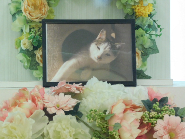 DSCN1057.JPG