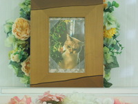 水戸市愛猫クゥちゃん