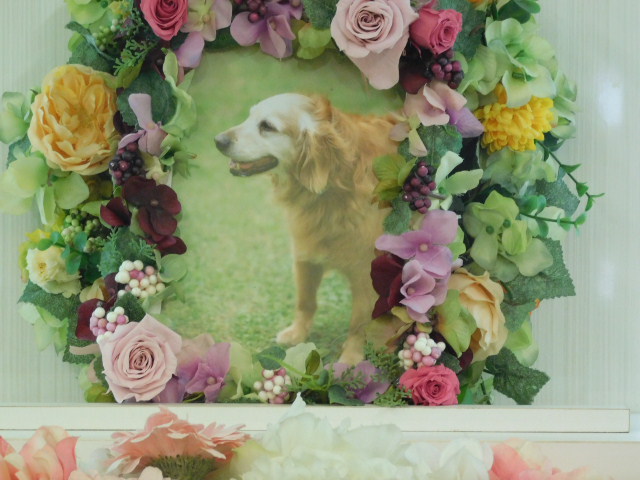 DSCN1128.JPG