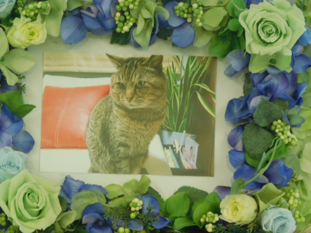 DSCN1129.JPG