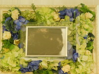 那珂市愛猫キョロちゃん