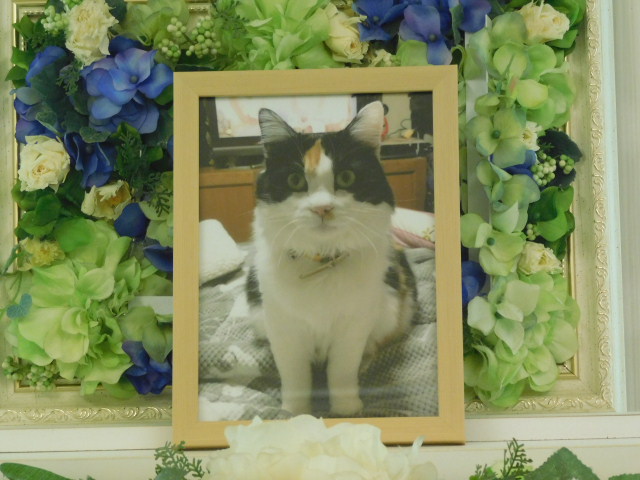 DSCN1153.JPG