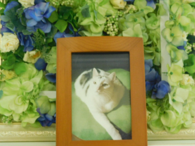 DSCN1158.JPG