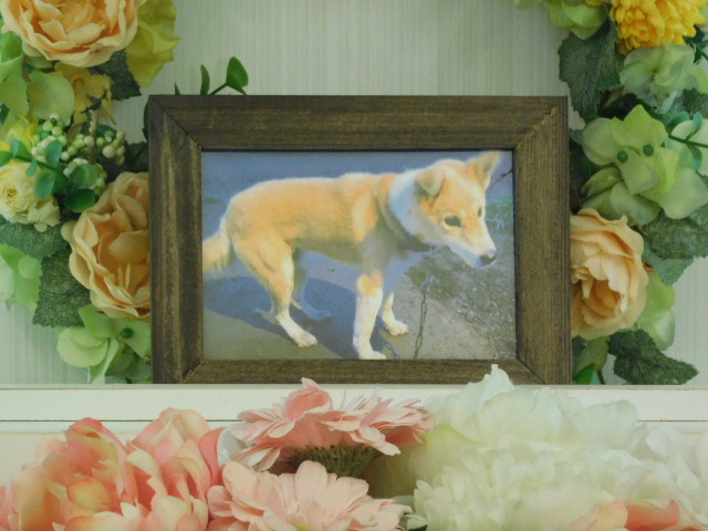 DSCN1254.JPG