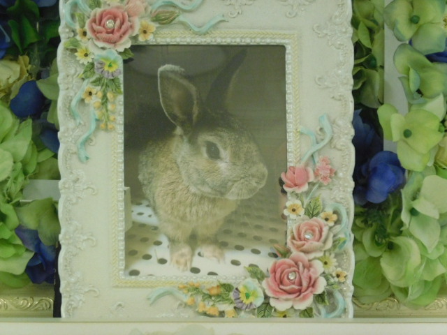 DSCN1255.JPG