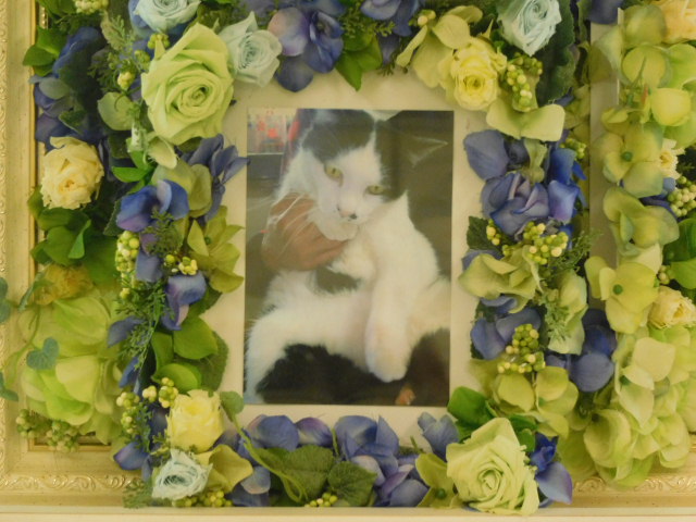DSCN1260.JPG