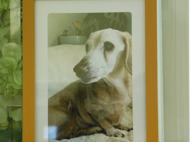 DSCN1265.JPG