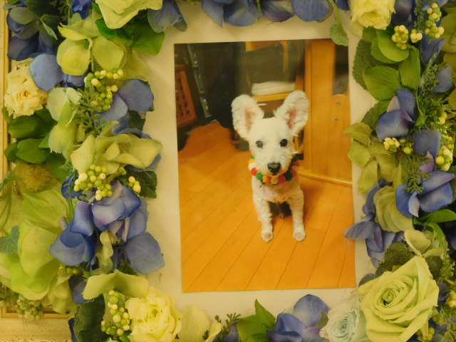 DSCN1366.JPG