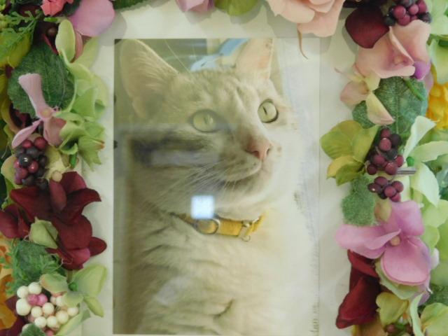 DSCN1421.JPG