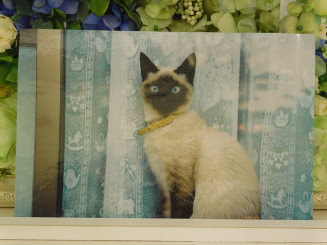 DSCN1490.JPG