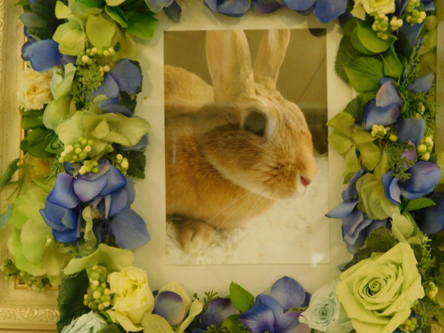 DSCN1496.JPG