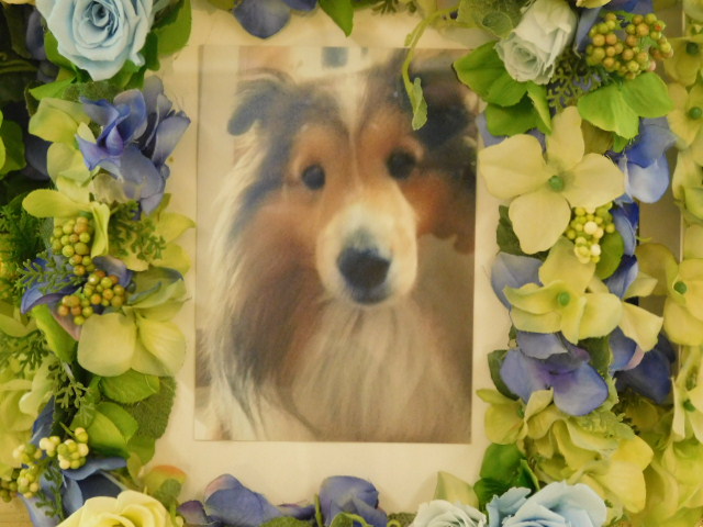DSCN1682.JPG