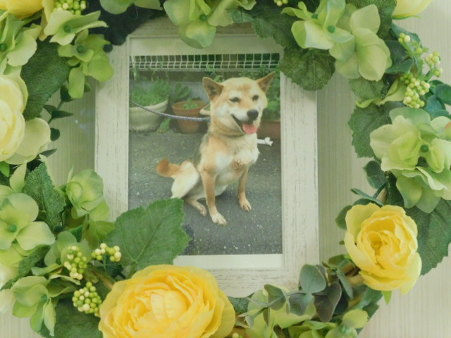 DSCN1745.JPG
