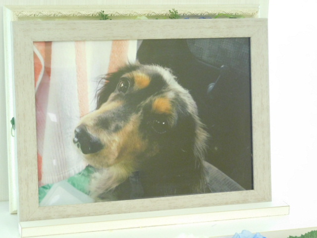 DSCN1821.JPG