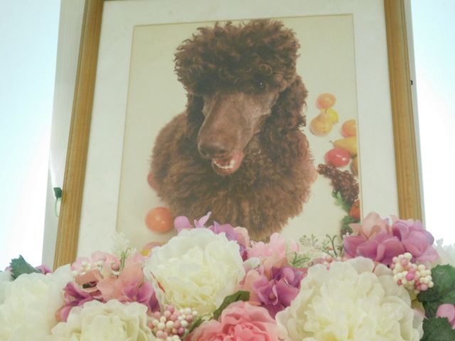 DSCN1888.JPG