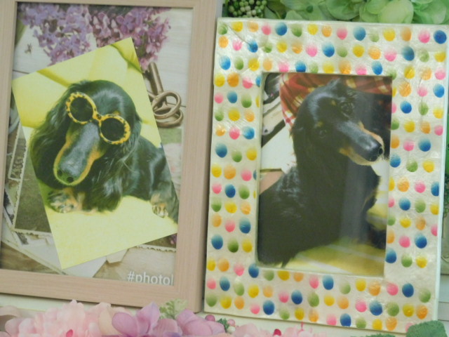 DSCN1996.JPG