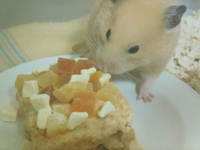 常陸大宮市ハムカツちゃん