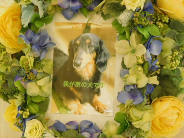 DSCN2045.JPG