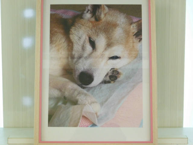 DSCN2080.JPG