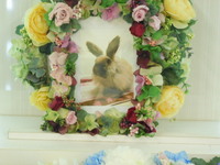 水戸市愛兎うめちゃん