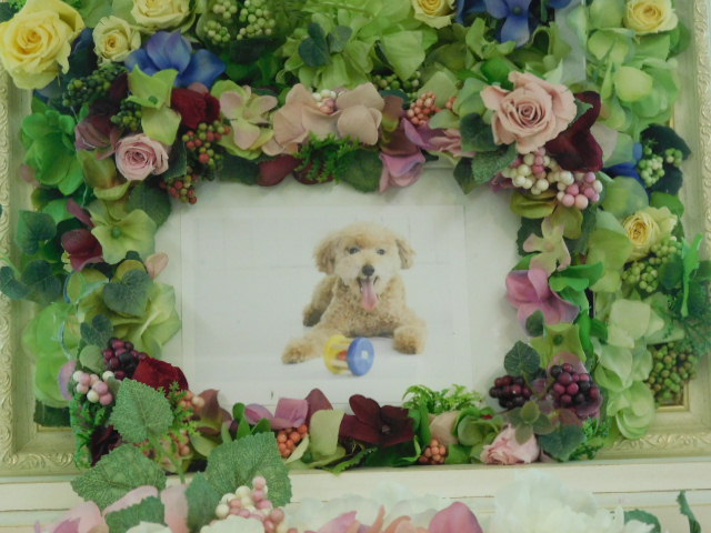 DSCN2239.JPG