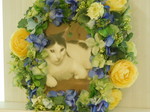 水戸市愛猫ものちゃん