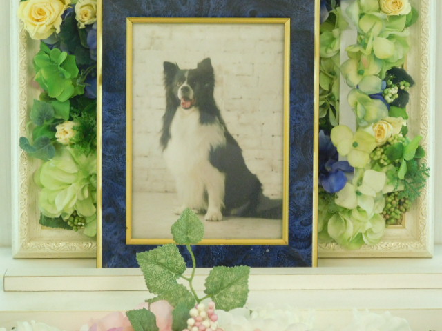 DSCN2275.JPG