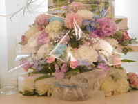 ひたちなか市愛犬メイちゃん