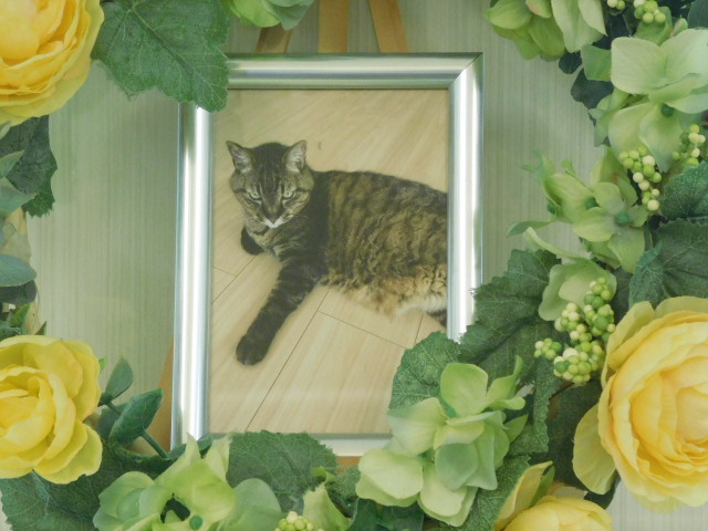 DSCN2347.JPG