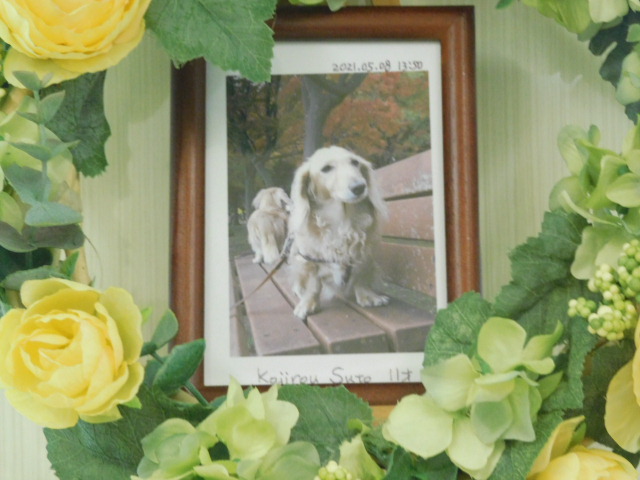 DSCN2357.JPG