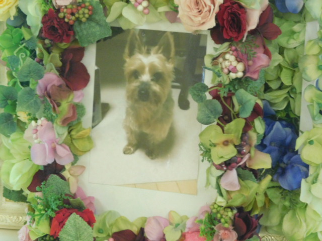 DSCN2368.JPG