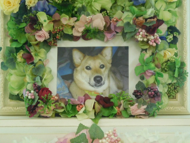 DSCN2562.JPG