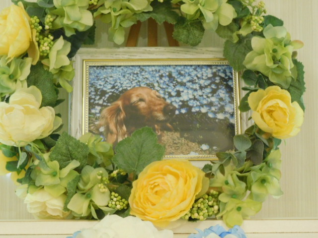 DSCN2712.JPG