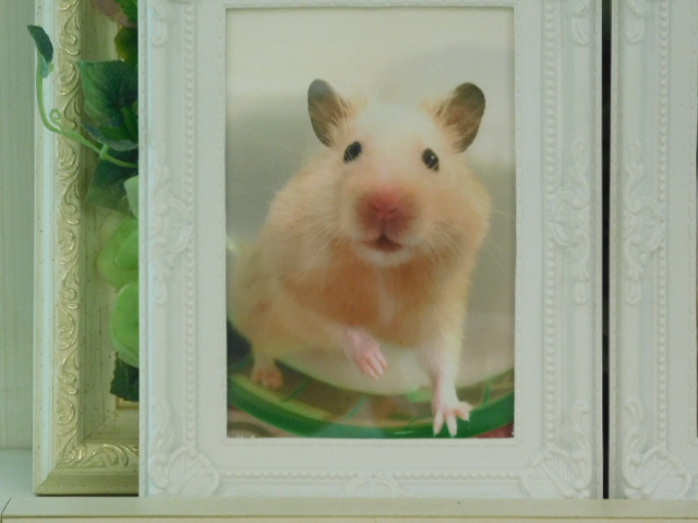 DSCN2714.JPG