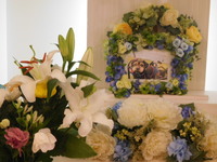 水戸市愛犬まろちゃん