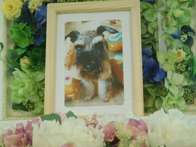 DSCN2792.JPG