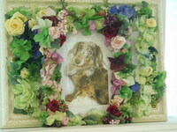 水戸市愛犬クレオちゃん