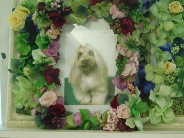 DSCN2797.JPG