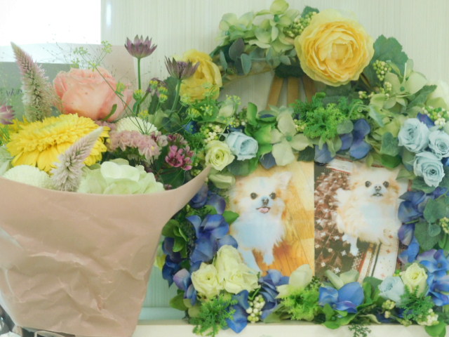 DSCN2837.JPG