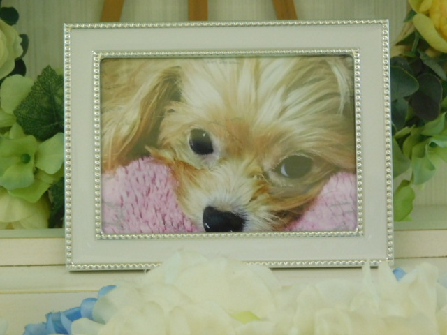 DSCN2880.JPG