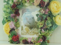 水戸市ハムスター・ごまちゃん