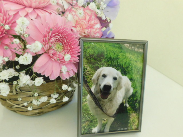 DSCN3228.JPG