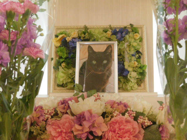 DSCN3315.JPG