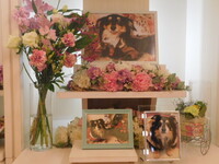 石岡市愛犬ケリちゃん