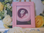 ひたちなか市愛猫ももちゃん