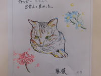 那珂市愛猫チャッピーちゃん