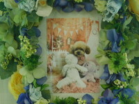 常陸大宮市愛犬さくらこちゃん